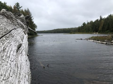Photo from Highland Backpacking Trail - Algonquin Provincial Park