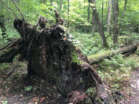 Photo from Highland Backpacking Trail - Algonquin Provincial Park