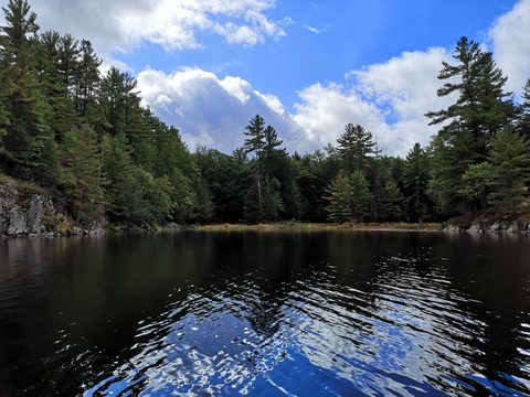 Photo from Backcountry Canoeing at the Massassauga prov park
