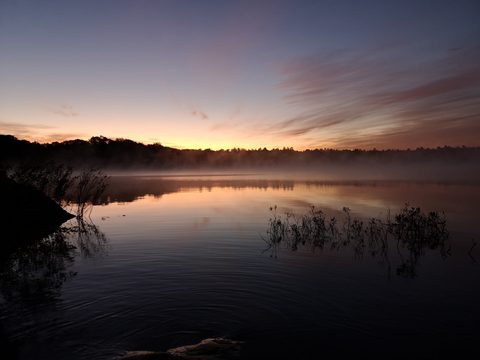 Photo from Backcountry Canoeing at the Massassauga prov park