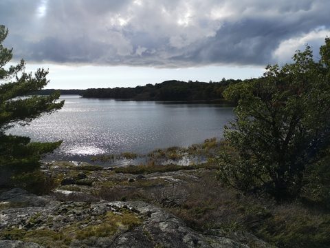Photo from Backcountry Canoeing at the Massassauga prov park