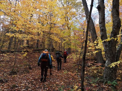 Photo from Thanksgiving weekend in Algonquin Provincial Park