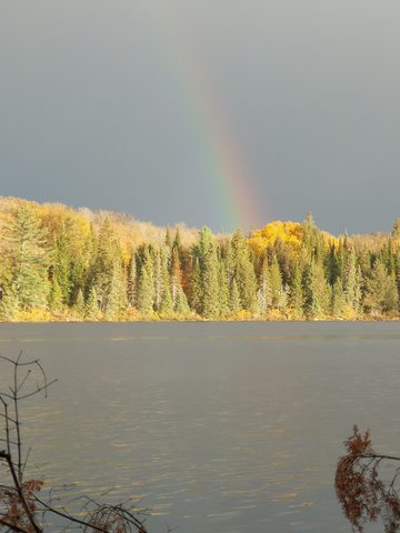 Photo from Thanksgiving weekend in Algonquin Provincial Park
