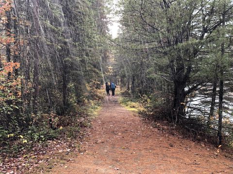 Photo from Thanksgiving weekend in Algonquin Provincial Park