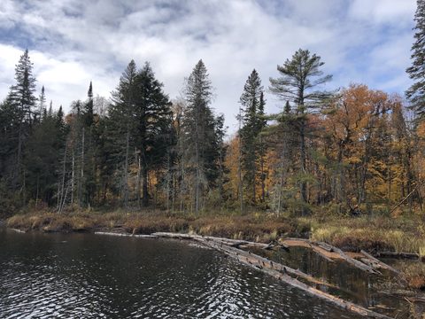 Photo from Thanksgiving weekend in Algonquin Provincial Park