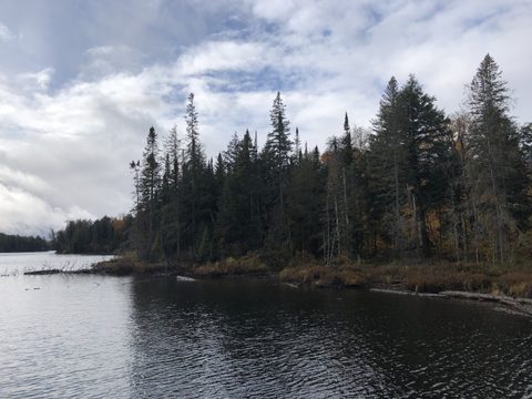 Photo from Thanksgiving weekend in Algonquin Provincial Park