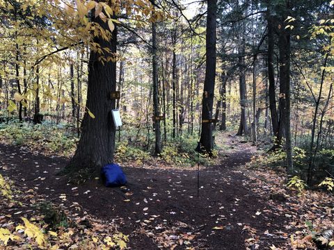Photo from Thanksgiving weekend in Algonquin Provincial Park
