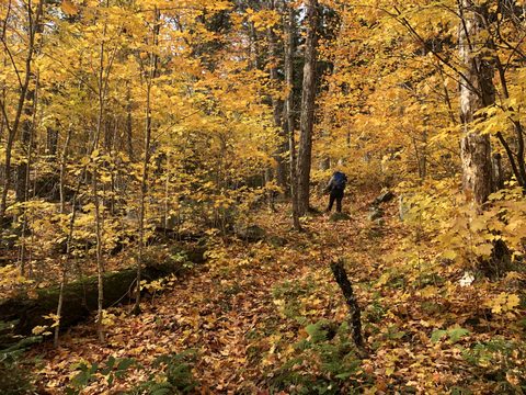 Photo from Thanksgiving weekend in Algonquin Provincial Park
