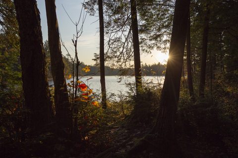 Photo from Thanksgiving weekend in Algonquin Provincial Park