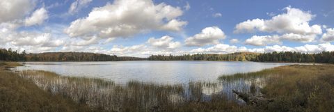 Photo from Thanksgiving weekend in Algonquin Provincial Park