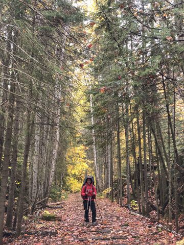 Photo from Thanksgiving weekend in Algonquin Provincial Park