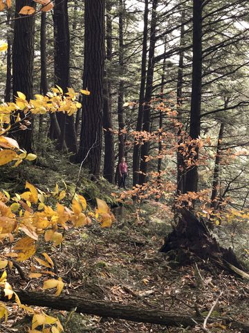 Photo from Thanksgiving weekend in Algonquin Provincial Park