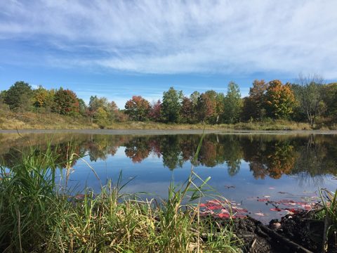 Photo from Backpacking East Side of QEW, Devils Lake to Victoria Section