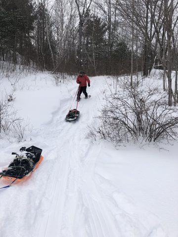 Photo from Queen Elizabeth II Wildlands - 2020 Pulk Pull