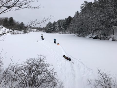 Photo from Queen Elizabeth II Wildlands - 2020 Pulk Pull