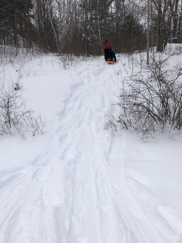 Photo from Queen Elizabeth II Wildlands - 2020 Pulk Pull