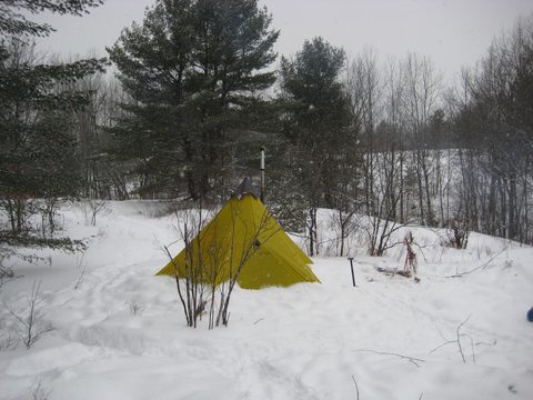 Photo from Queen Elizabeth II Wildlands - 2020 Pulk Pull