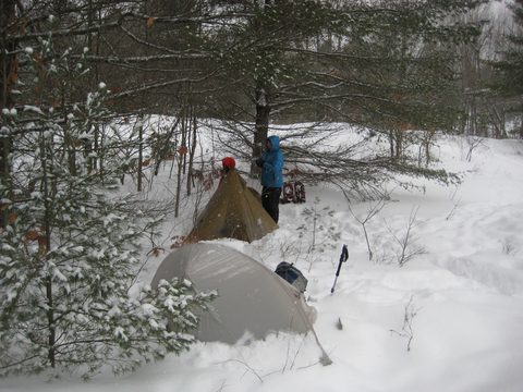 Photo from Queen Elizabeth II Wildlands - 2020 Pulk Pull