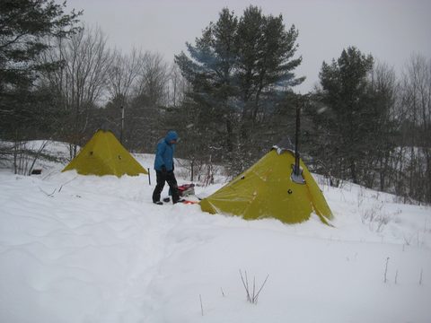 Photo from Queen Elizabeth II Wildlands - 2020 Pulk Pull