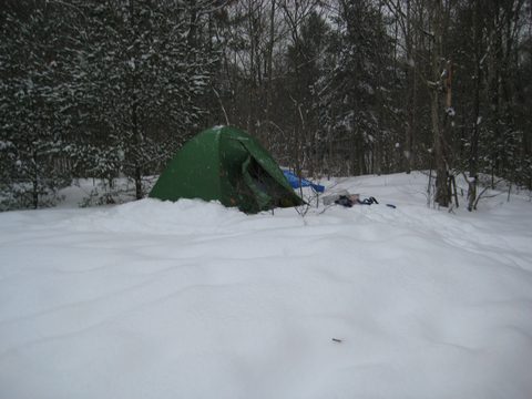 Photo from Queen Elizabeth II Wildlands - 2020 Pulk Pull