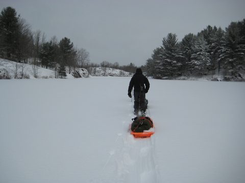 Photo from Queen Elizabeth II Wildlands - 2020 Pulk Pull