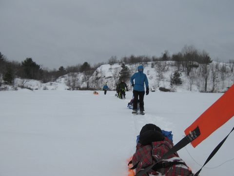 Photo from Queen Elizabeth II Wildlands - 2020 Pulk Pull