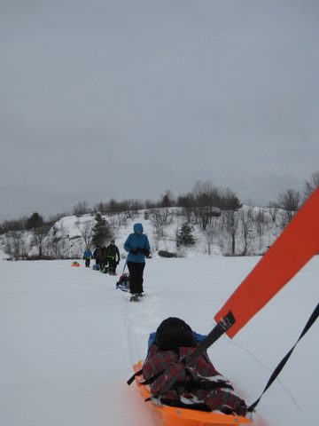 Photo from Queen Elizabeth II Wildlands - 2020 Pulk Pull