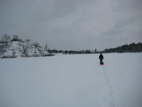 Photo from Queen Elizabeth II Wildlands - 2020 Pulk Pull