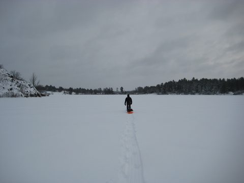 Photo from Queen Elizabeth II Wildlands - 2020 Pulk Pull