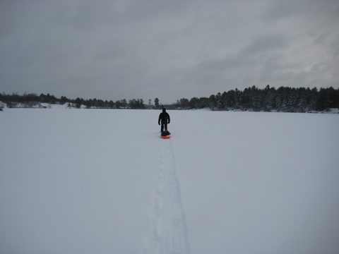 Photo from Queen Elizabeth II Wildlands - 2020 Pulk Pull