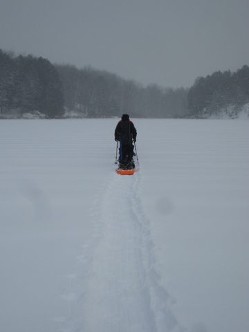 Photo from Queen Elizabeth II Wildlands - 2020 Pulk Pull
