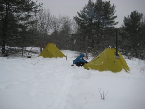 Photo from Queen Elizabeth II Wildlands - 2020 Pulk Pull