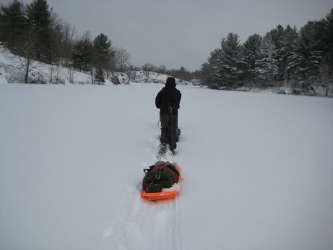 Photo from Queen Elizabeth II Wildlands - 2020 Pulk Pull