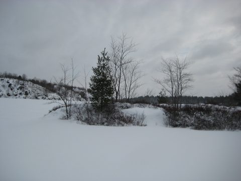Photo from Queen Elizabeth II Wildlands - 2020 Pulk Pull
