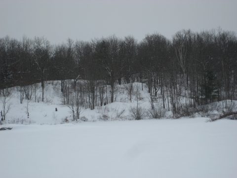 Photo from Queen Elizabeth II Wildlands - 2020 Pulk Pull