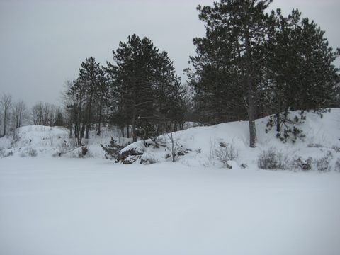 Photo from Queen Elizabeth II Wildlands - 2020 Pulk Pull