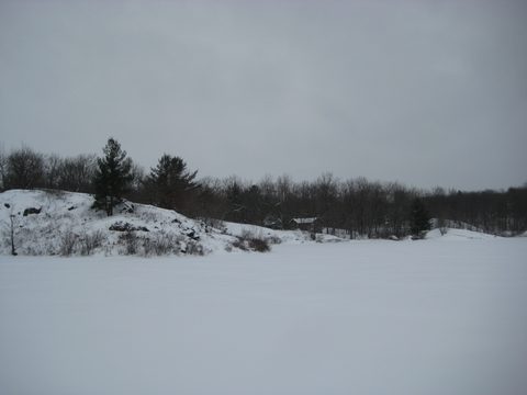 Photo from Queen Elizabeth II Wildlands - 2020 Pulk Pull