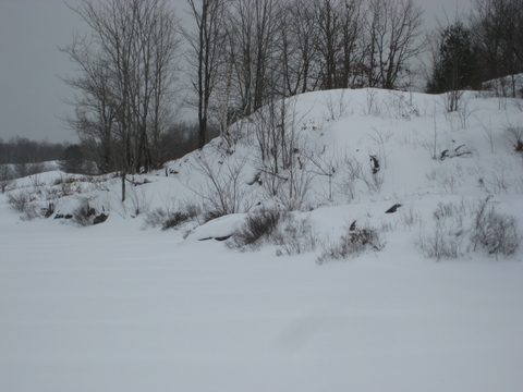 Photo from Queen Elizabeth II Wildlands - 2020 Pulk Pull