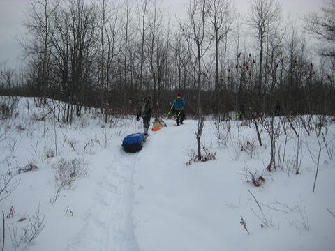 Photo from Queen Elizabeth II Wildlands - 2020 Pulk Pull