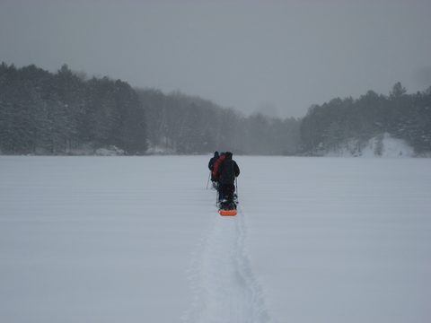 Photo from Queen Elizabeth II Wildlands - 2020 Pulk Pull
