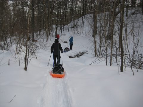 Photo from Queen Elizabeth II Wildlands - 2020 Pulk Pull