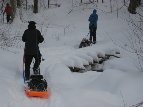 Photo from Queen Elizabeth II Wildlands - 2020 Pulk Pull