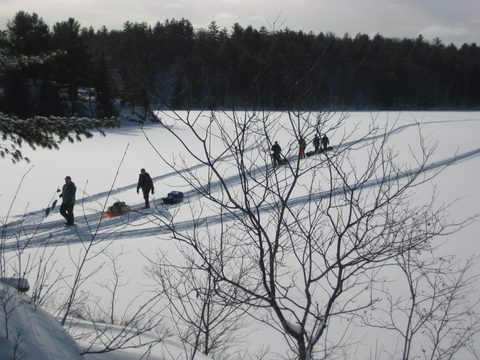 Photo from Queen Elizabeth II Wildlands - 2020 Pulk Pull