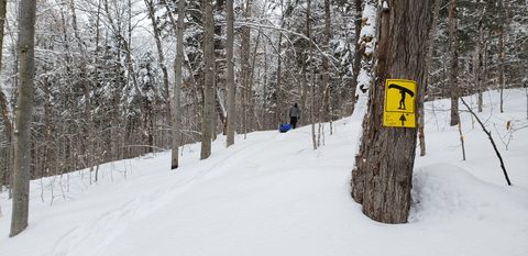 Photo from Minnesing Trail winter camping