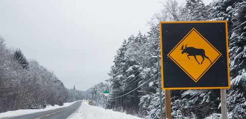 Photo from Minnesing Trail winter camping