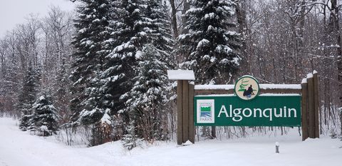 Photo from Minnesing Trail winter camping
