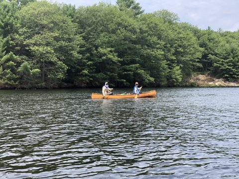 Photo from Backcountry Canoe Trip in The Massasauga Provincial Park