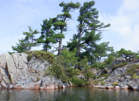 Photo from Kayaking Weekend to the Painted Rocks