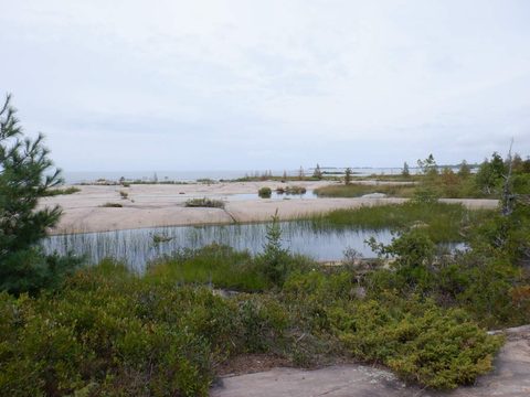 Photo from Kayaking Weekend to the Painted Rocks