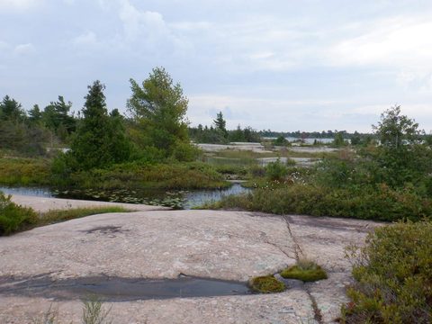 Photo from Kayaking Weekend to the Painted Rocks